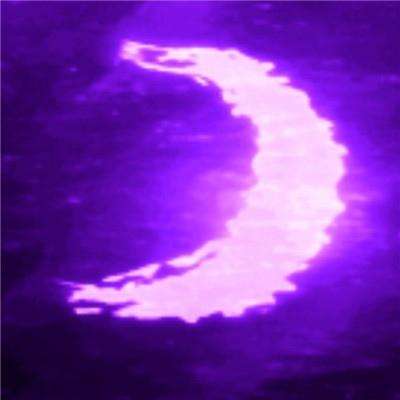 单机的打鱼游戏