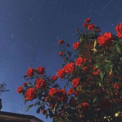 Kaiyun·开云体育