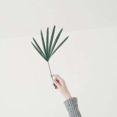 开云·体育(kaiyun)app下载