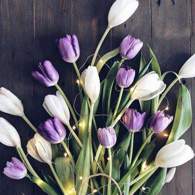 爱体育官方app下载截图