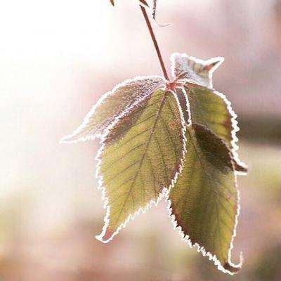 米博体育网站官网版官方入口