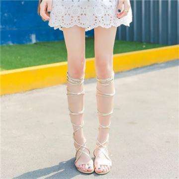 金星棋牌手机app下载